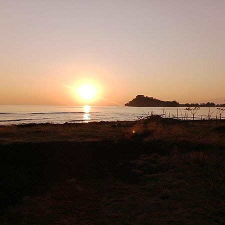 The Beach Bungalows & Turtle Sanctuary بيموتيران المظهر الخارجي الصورة