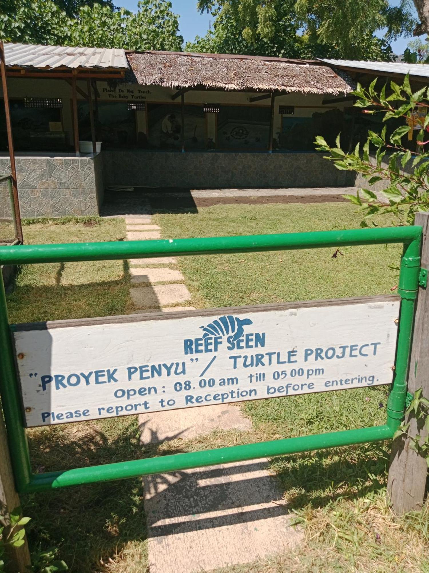 The Beach Bungalows & Turtle Sanctuary بيموتيران المظهر الخارجي الصورة