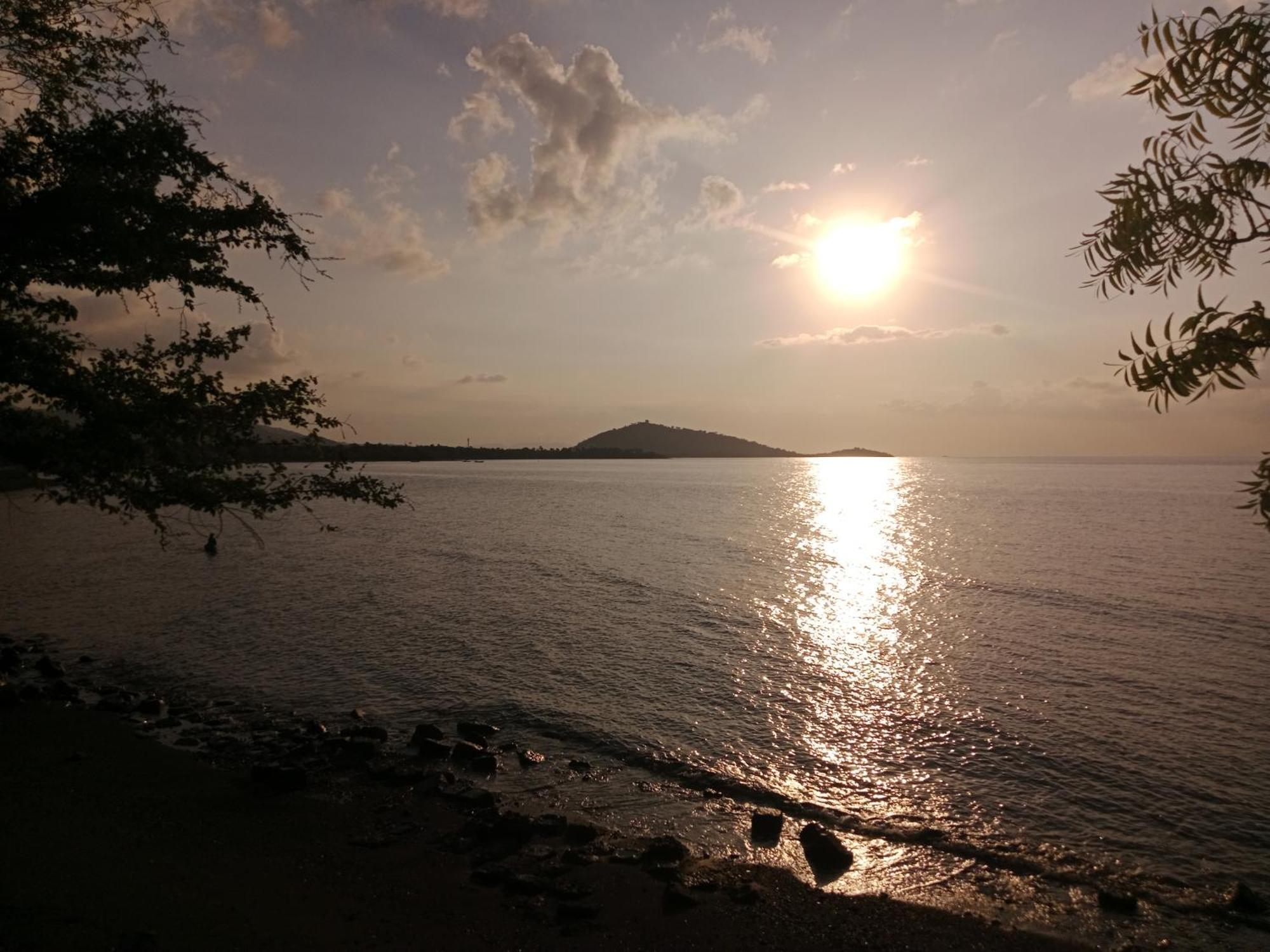 The Beach Bungalows & Turtle Sanctuary بيموتيران المظهر الخارجي الصورة