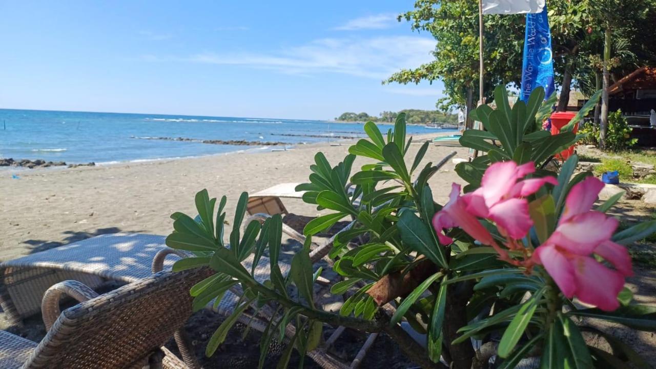 The Beach Bungalows & Turtle Sanctuary بيموتيران المظهر الخارجي الصورة