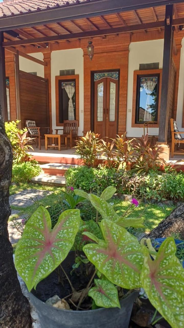 The Beach Bungalows & Turtle Sanctuary بيموتيران المظهر الخارجي الصورة