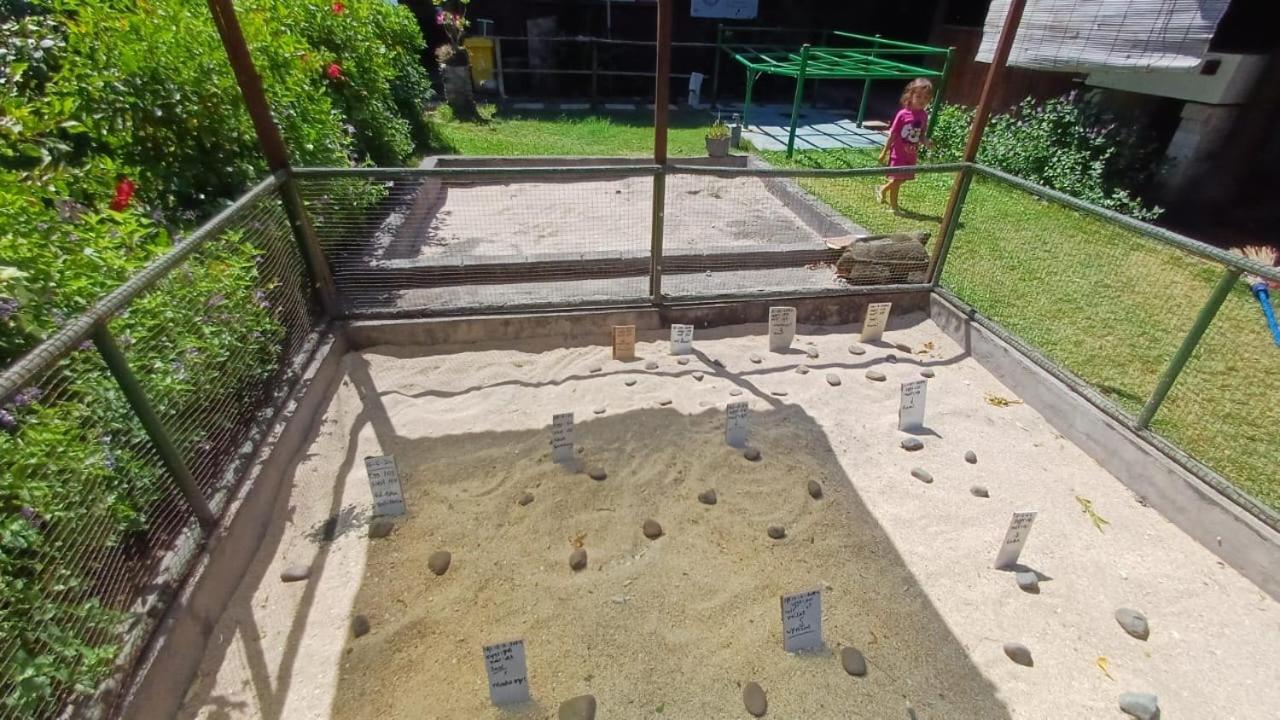 The Beach Bungalows & Turtle Sanctuary بيموتيران المظهر الخارجي الصورة