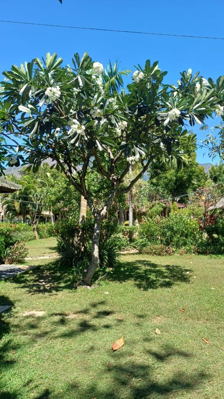 The Beach Bungalows & Turtle Sanctuary بيموتيران المظهر الخارجي الصورة